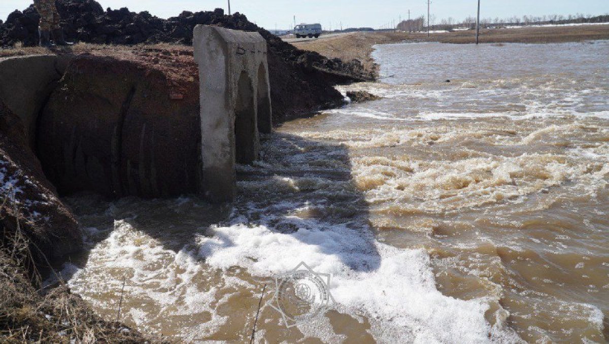Талая вода отступает: в одном из районов Акмолинской области завершен пик паводков