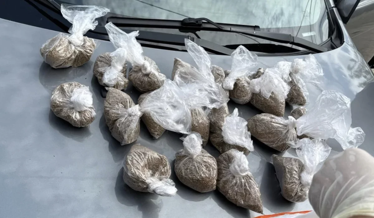 Алматы облысында есірткі қолданған ер адамның көлігінен кептірілген қарасора табылды