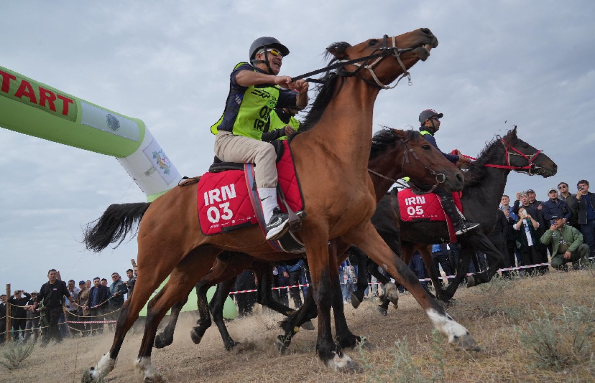 В Алматинской области торжественно стартовал Международный марафон-байге «Ұлы дала жорығы»