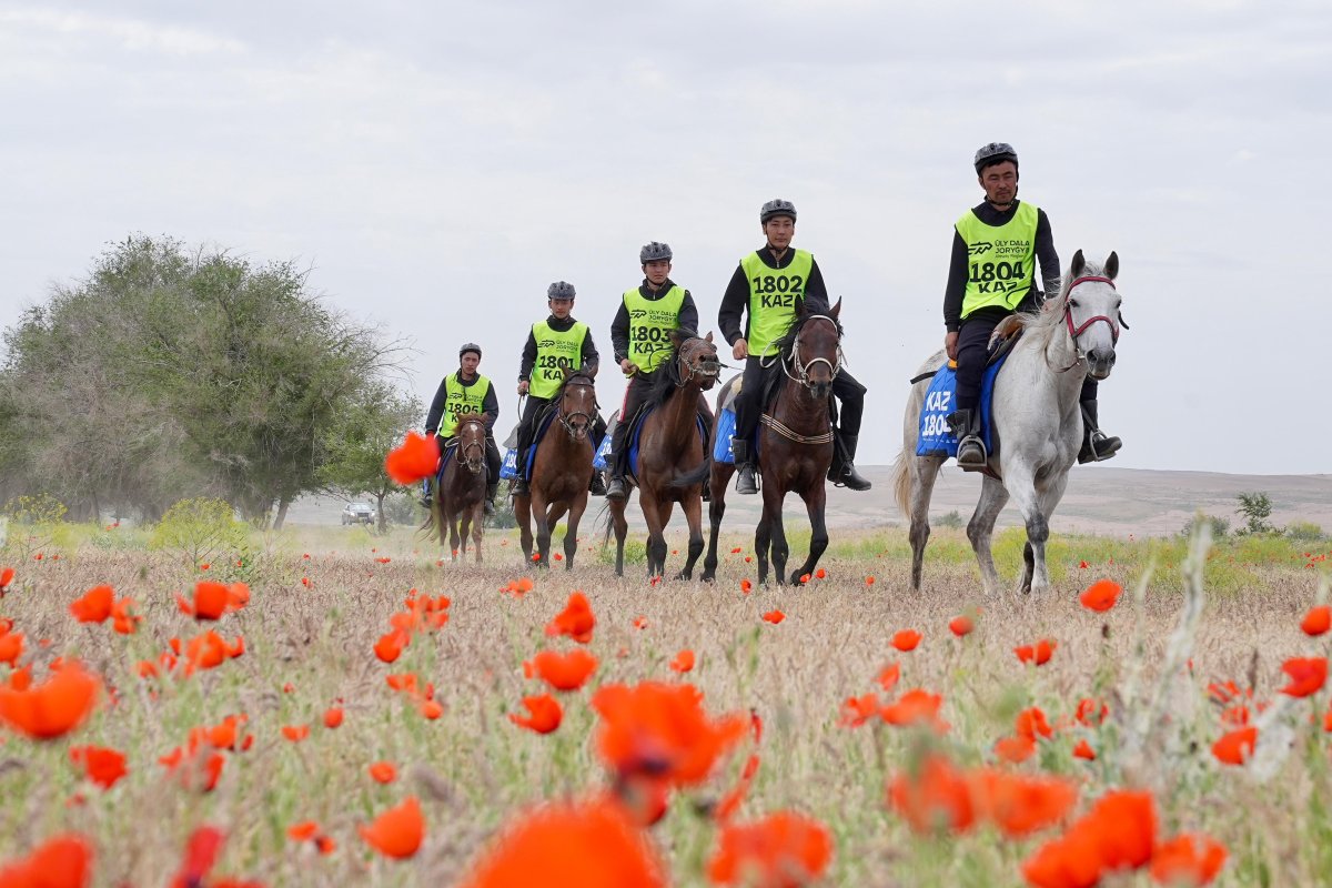 Определены итоги первого дня «Ұлы дала жорығы»