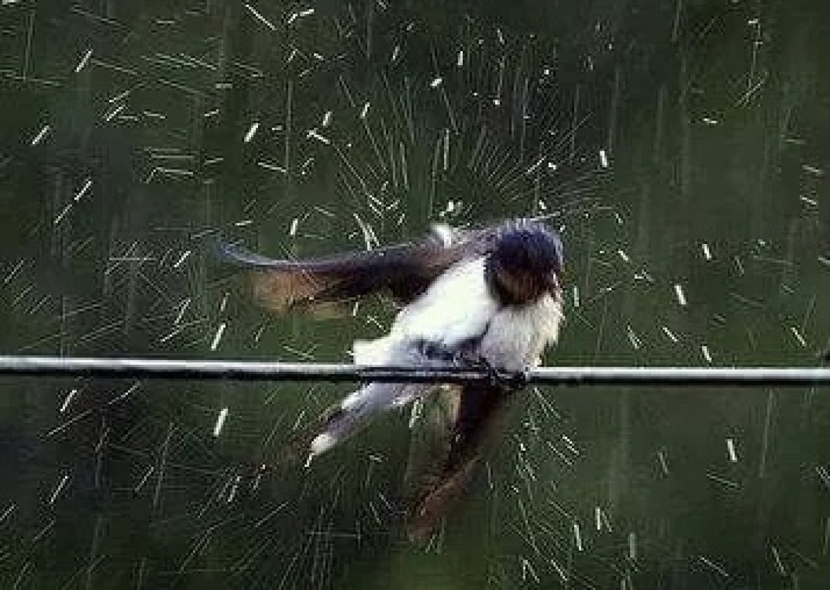 Дожди, град, бури: штормовое предупреждение объявлено на большей части Казахстана в понедельник