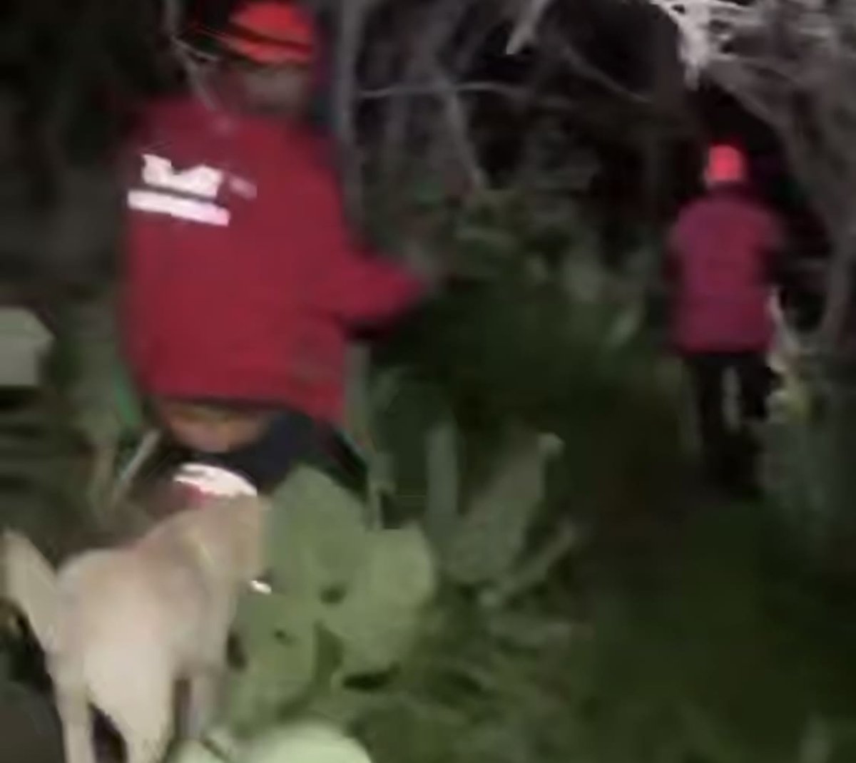 Мужчина потерялся в горном тумане под Алматы