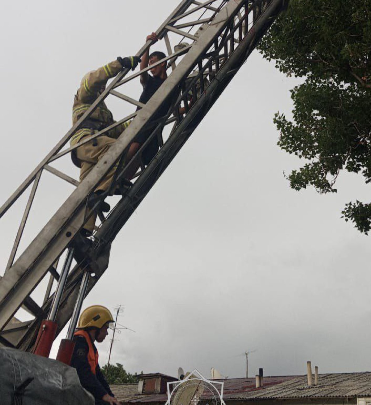 Жителя Есика прошлось снимать с дерева из-за дрона
