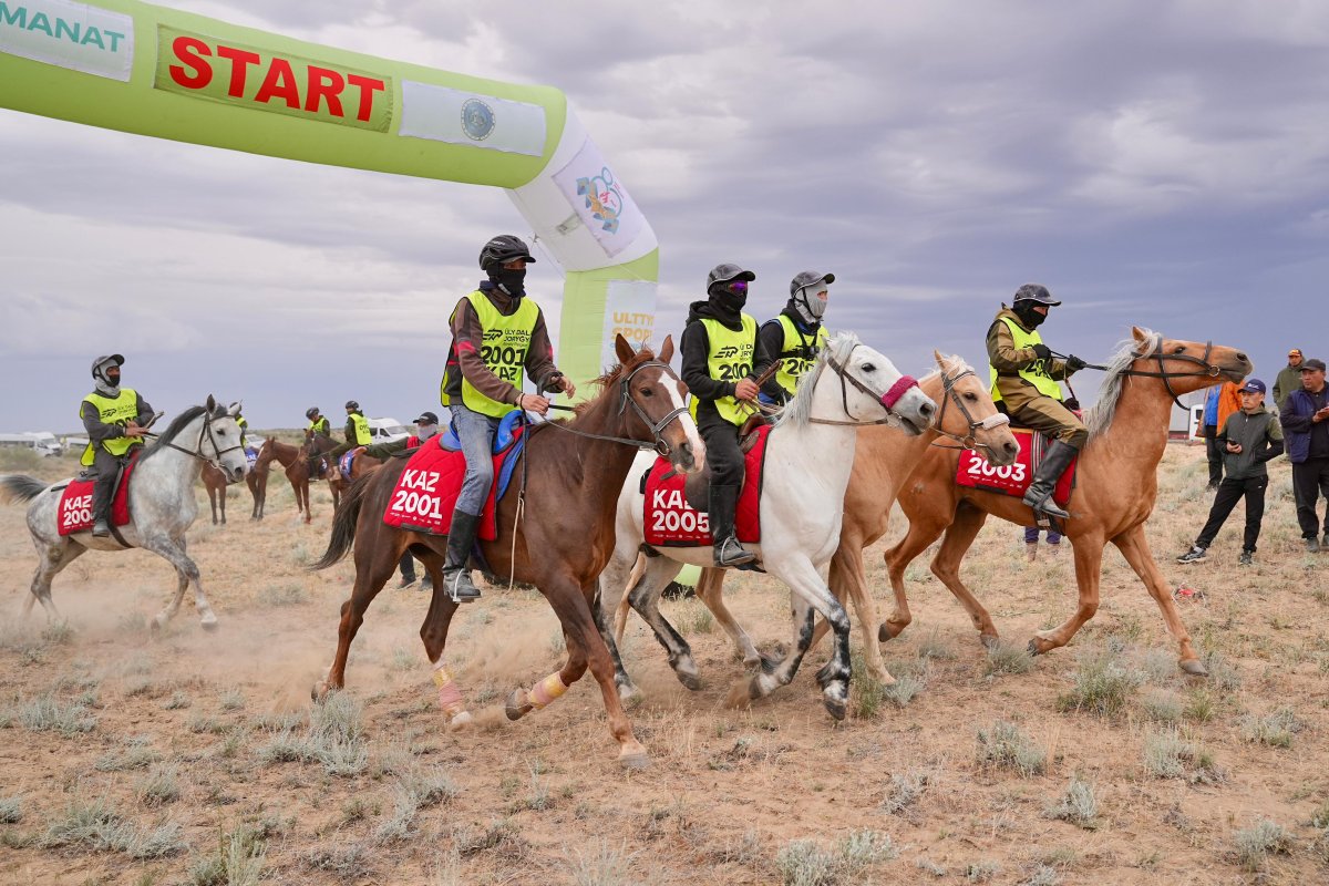 МЕЖДУНАРОДНЫЙ МАРАФОН-БАЙГЕ  «ҰЛЫ ДАЛА ЖОРЫҒЫ – 2025»: ИТОГИ ВТОРОГО ДНЯ