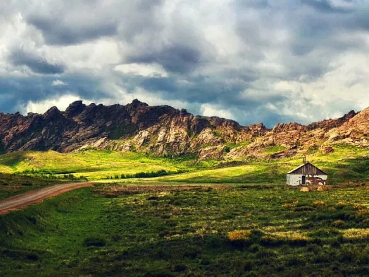 Фальшивые дипломы выявили у работников нацпарка в области Абай