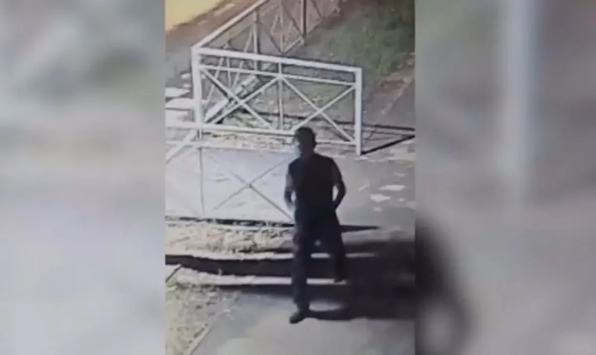 Алматыда еңгезердей еркек әжейдің үйіне басып кіріп, ақшасы тартып алған