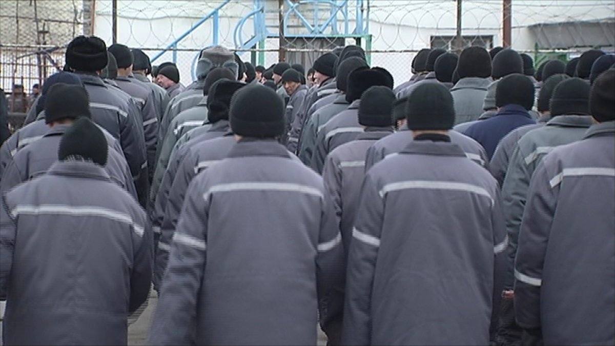 Енді полиция түрмеден шыққан педофилдерді өмір бойы бақылауда ұстайды