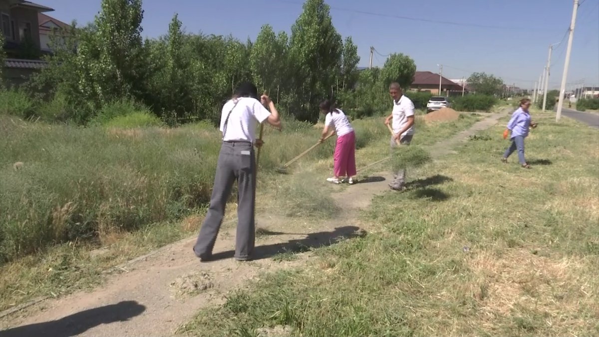 Шымкентте тазалық шарасы жалғасуда