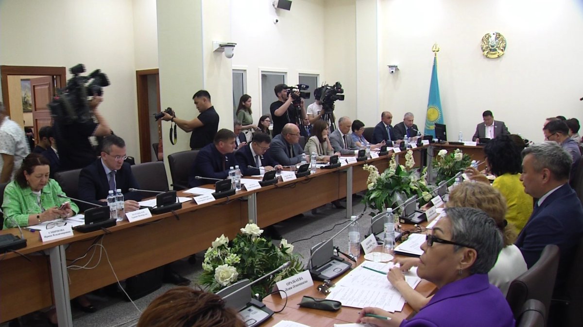 «Стукачи» или общественные помощники? Депутат Дементьева раскритиковала инициативу МВД