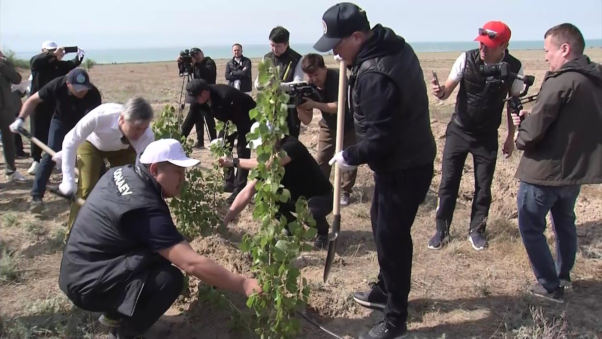 Қапшағай су қоймасының жағасына ағаштар егіліп, Орталық Азиядағы ірі экобастама іске қосылды
