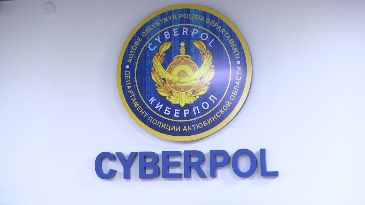 Ақтөбе облысында биыл 350 интернет алаяқтық фактісі тіркелді