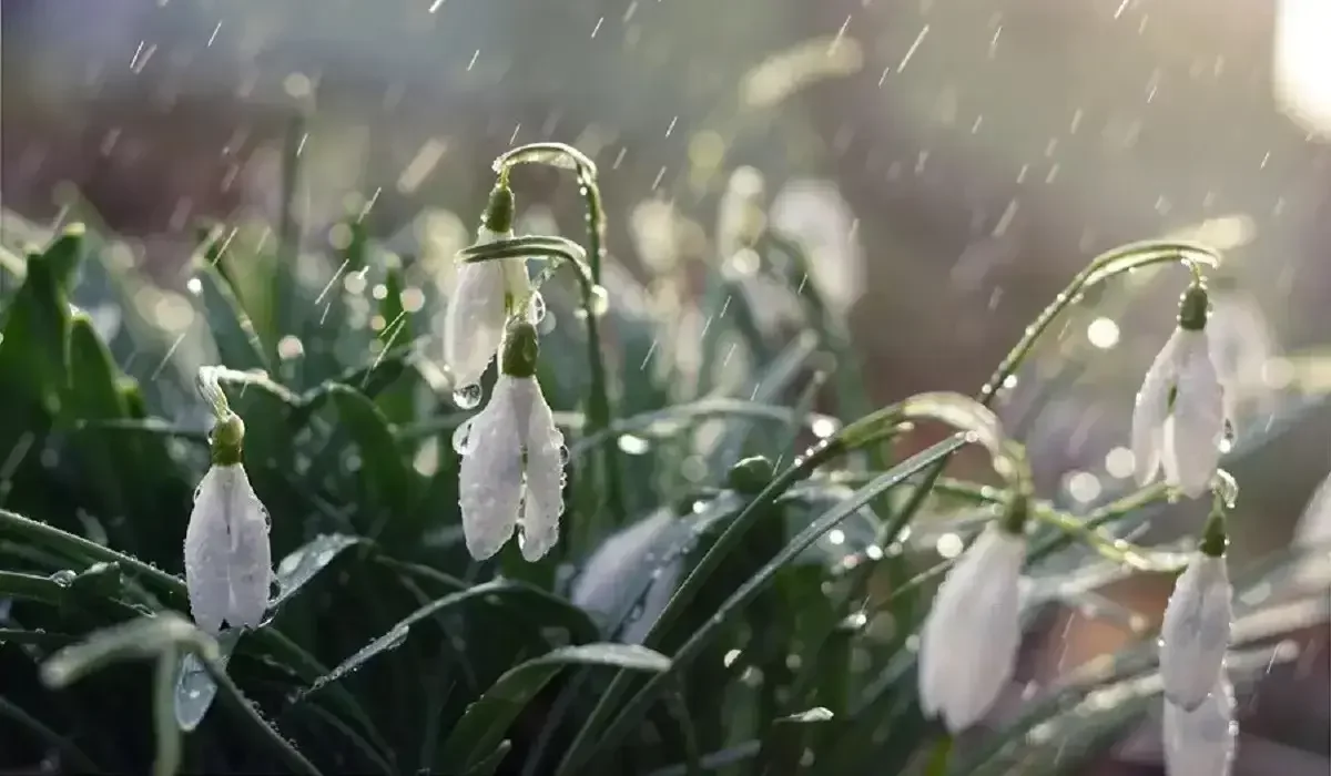 Найзағай ойнап, жаңбыр жауады: барлық дерлік өңірде дабылды ескерту жарияланды