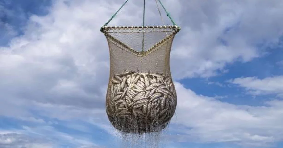 Ақтауда тормен балық аулаған адамға айыппұл салынды