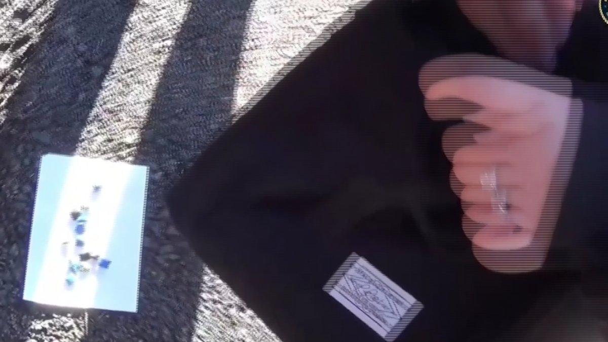 Екібастұзда оқушы қыз есірткі тасымалдаумен айналысқан