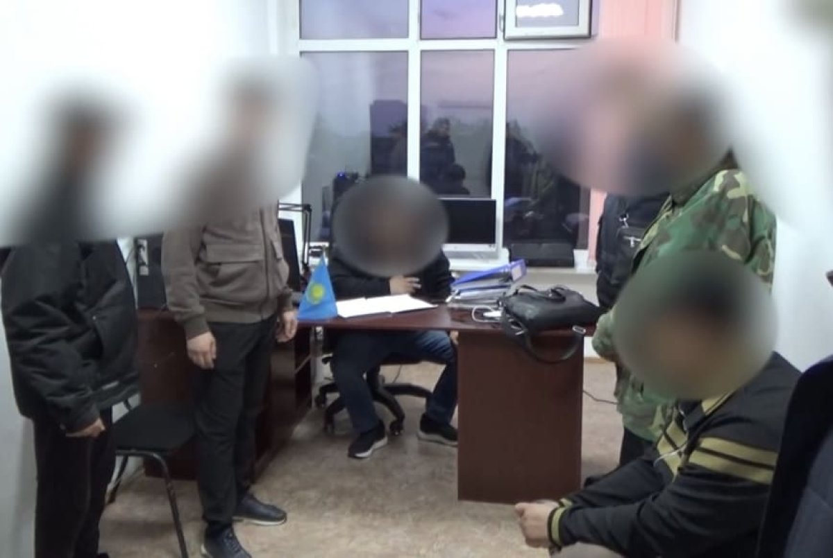 Задержан глава нового резервата с сайгаками «Бокейорда»