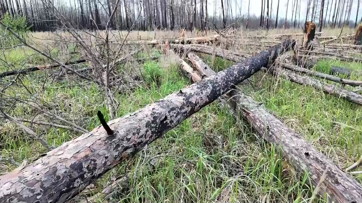 Қостанайда Мәжілістің Экология мәселелері және табиғат пайдалану комитетінің көшпелі отырысы өтті