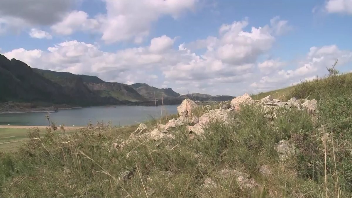 Завозной случай клещевого энцефалита выявили в Павлодаре