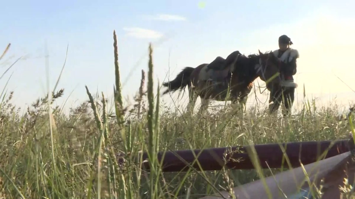 "Е-Guides" жүйесінде 380 гид тіркелген