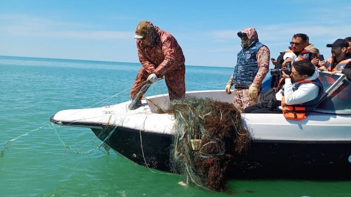 445 браконьерге 10,9 млн теңге айыппұл салынды