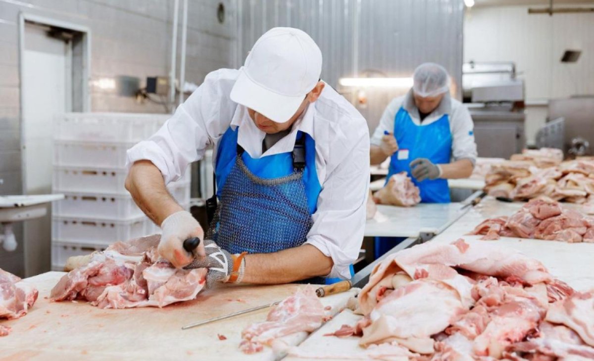 Рост производства мяса в Казахстане: уверенная динамика развития отрасли