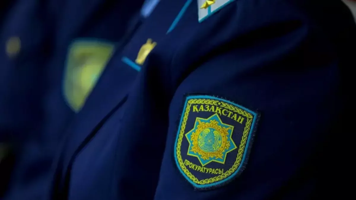 Алматы облысында мемлекет есебіне өтуі қажет қымбат мүліктер ұрланған