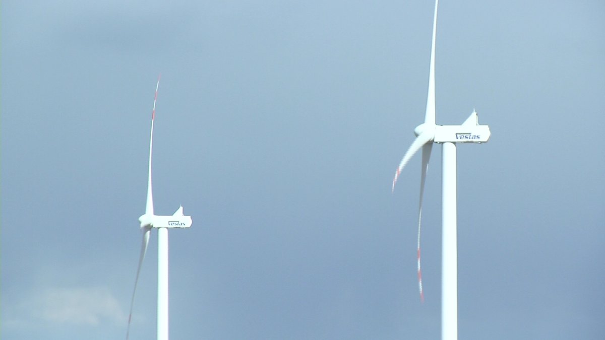 Казахстан и ОАЭ построят ветряную электростанцию в Жамбылской области