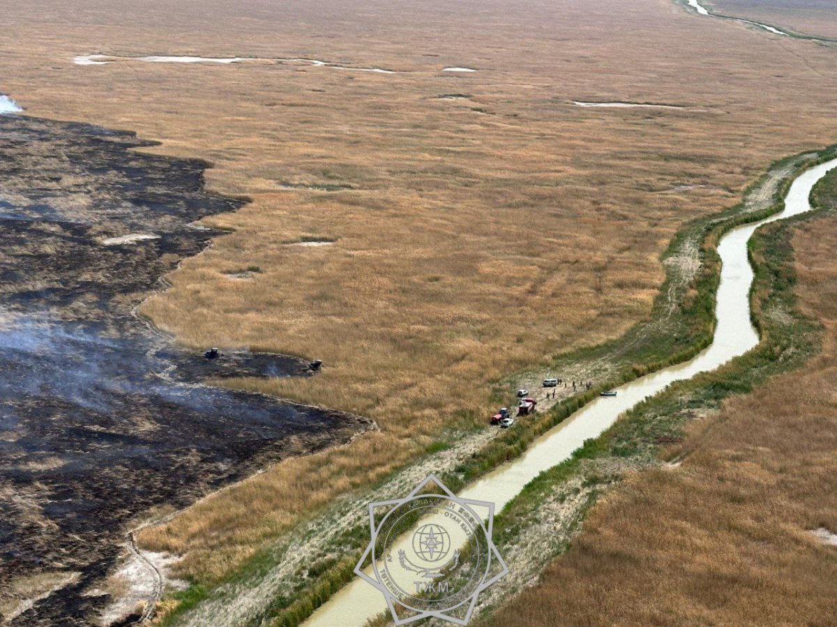 Гигантский пожар тушат с вертолета в резервате в Атырауской области