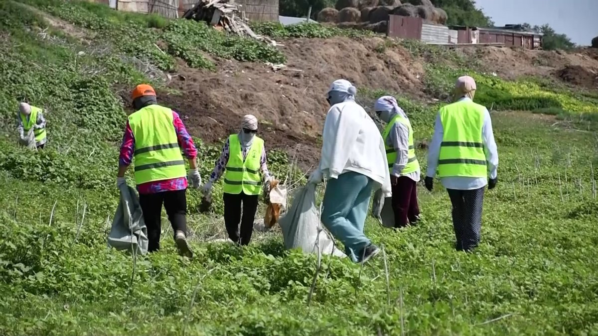 Аксессуары из отходов изготовили столичные школьники в рамках акции «Таза Бейсенбі»