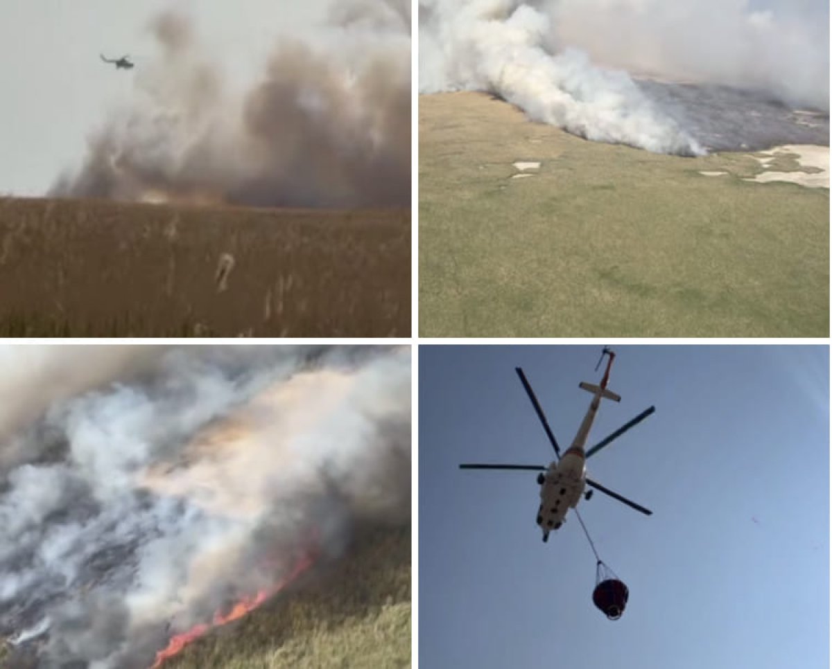 Гигантский пожар в 600 гектаров тушат в заповеднике под Атырау