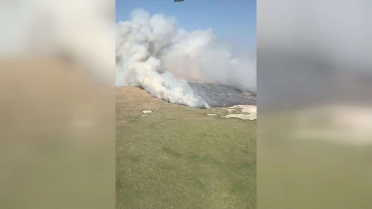 Атырауда ерекше қорғалатын «Ақ Жайық»  резерватына әдейі өрт қойған