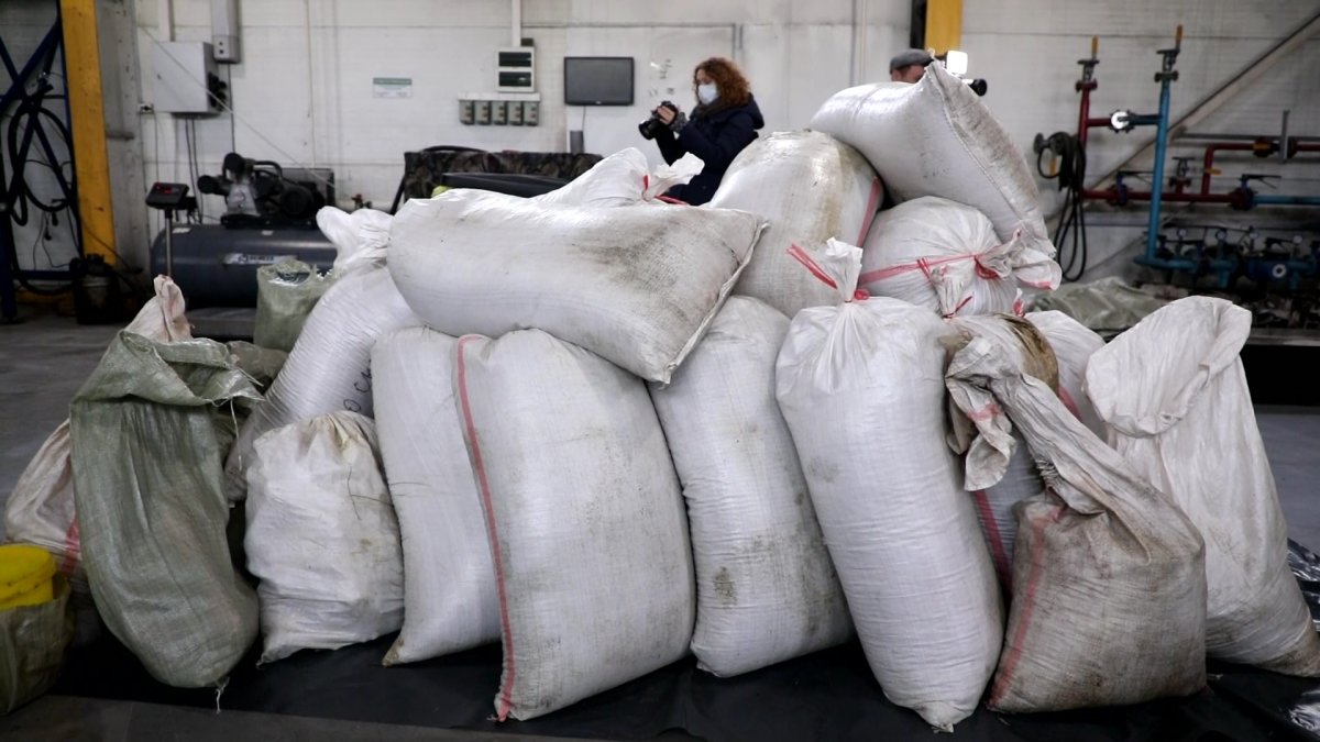 Астанада 5 тоннадан астам насыбай тәркіленіп, оны арнайы экологиялық қондырғыда жойды