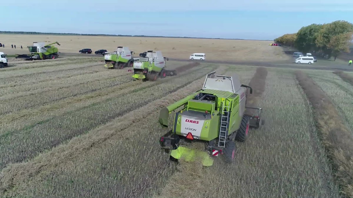 Казахстан может объединиться со странами Центральной Азии и выйти на продовольственный рынок Китая