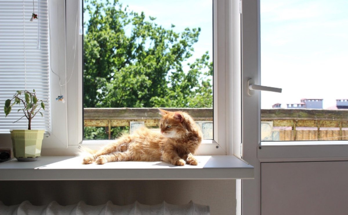 МЧС предупреждает: сильная жара сохраняется по Казахстану