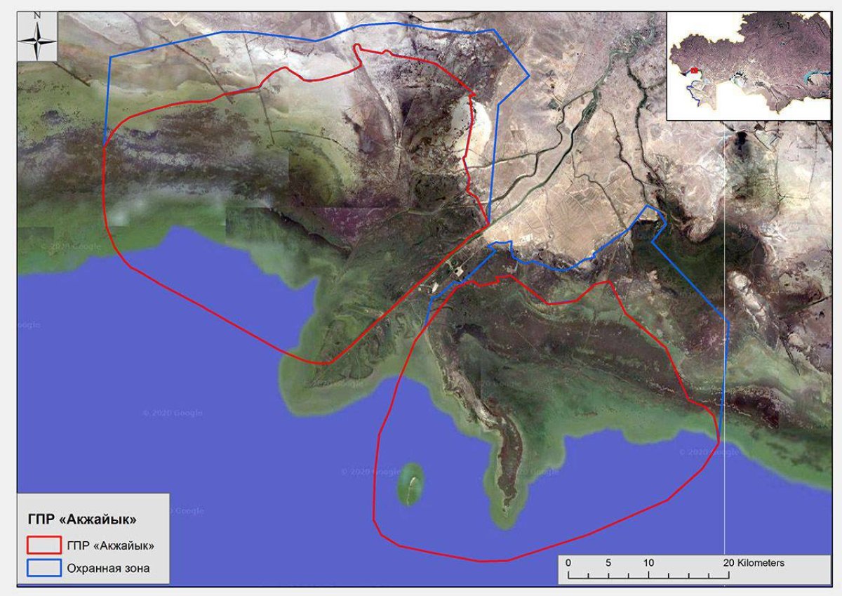 «Ақжайық» табиғи резерватының жекелеген учаскелерінде от қайта тұтануда