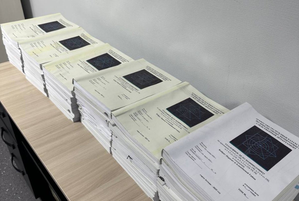 Дело Перизат Кайрат передали в прокуратуру