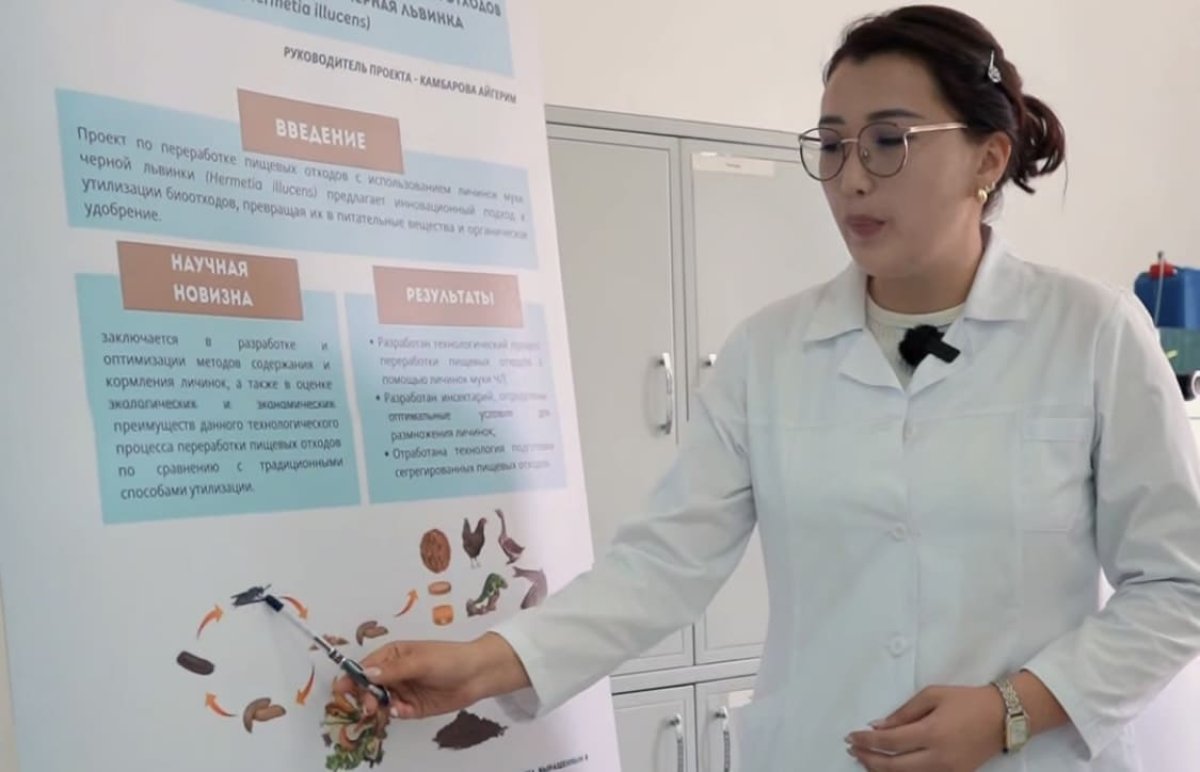 Девушка-ученый из Жетісу разработала кормовую добавку на основе «черной львинки»
