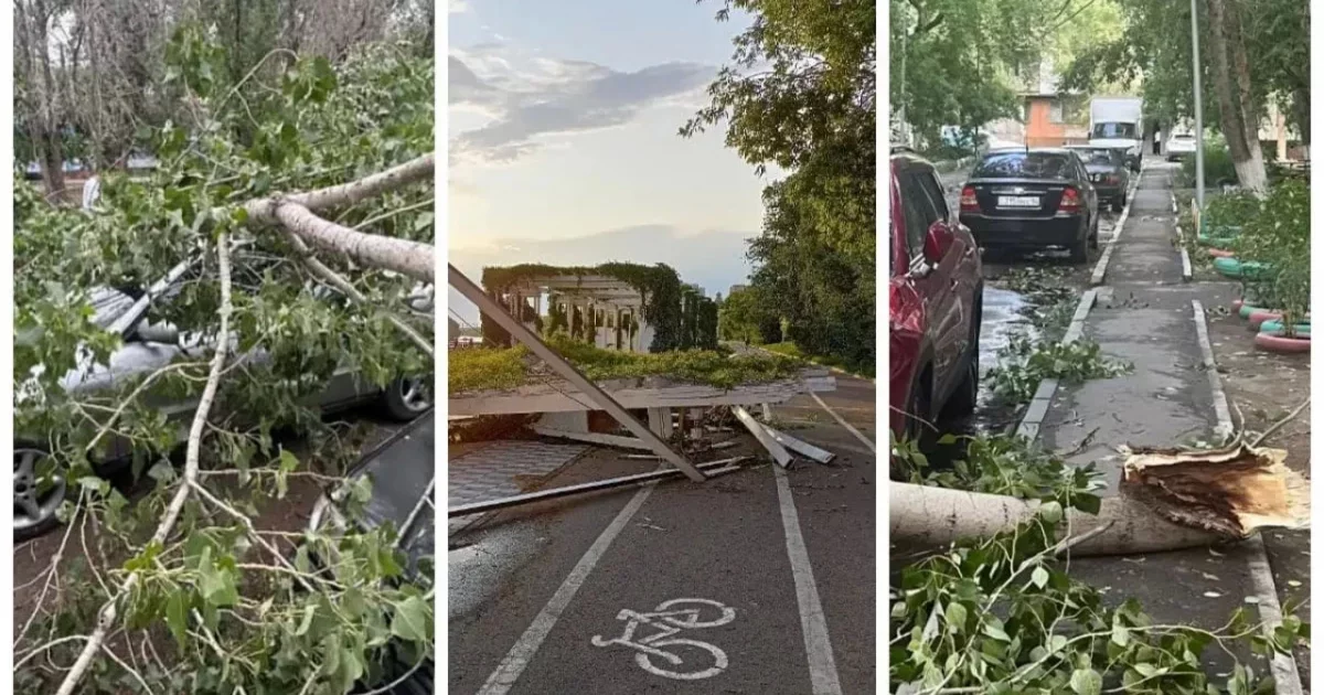 Павлодар облысында дауылдан бір адам қаза тауып, 16 адам зардап шекті