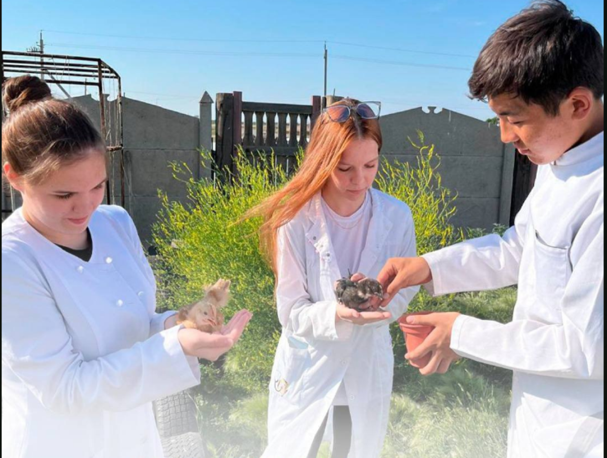 Павлодарские студенты разводят редкие породы птиц