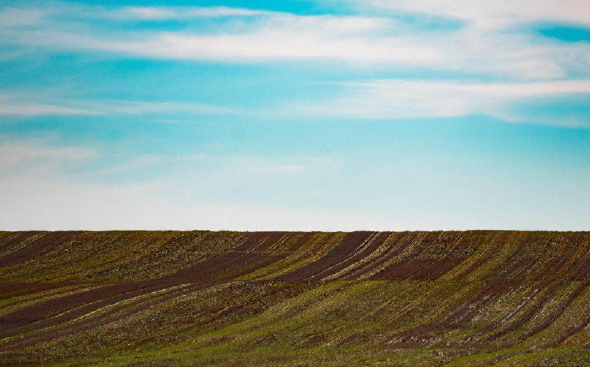 Акимат Талдыкоргана выделил землю под мусороперерабатывающий завод без проведения торгов