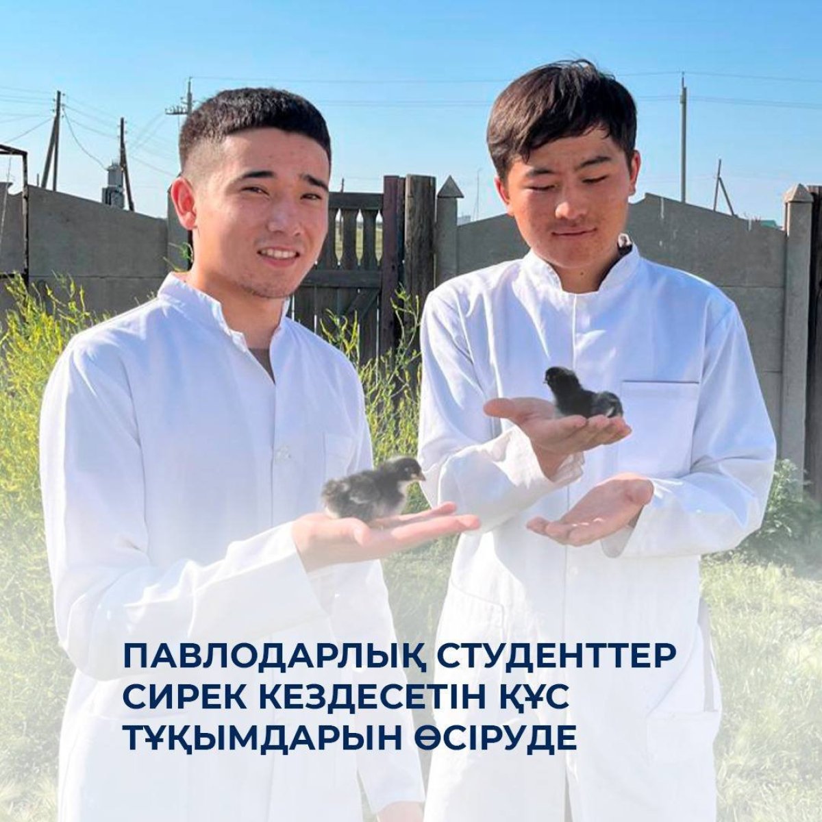 ​Павлодарлық студенттер сирек кездесетін құс тұқымдарын өсіруде