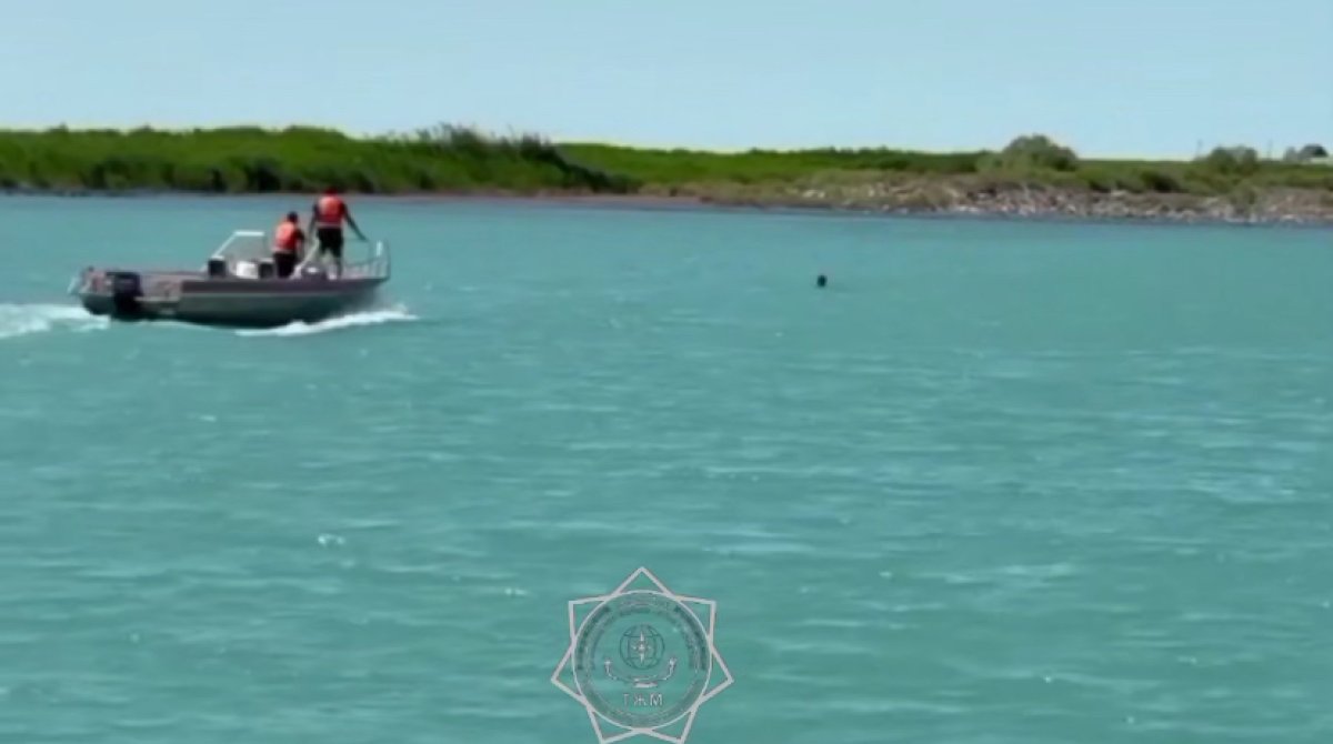 Ребёнка на надувном круге ветром унесло на глубину Балхаша