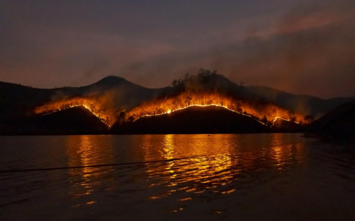 Лесные пожары бушуют на побережье Хорватии