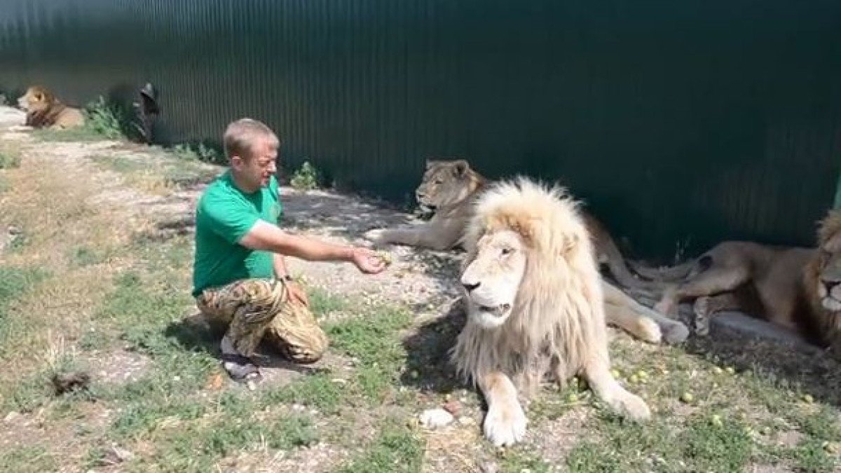 Арыстан зообақ иесін талап тастады