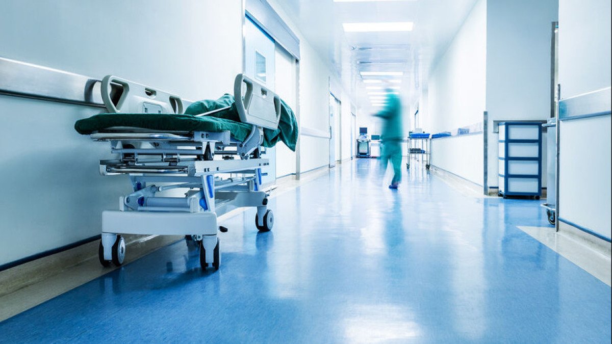 Ер адам анасына дұрыс тамақ бермеді деген сылтаумен келінін атып тастады