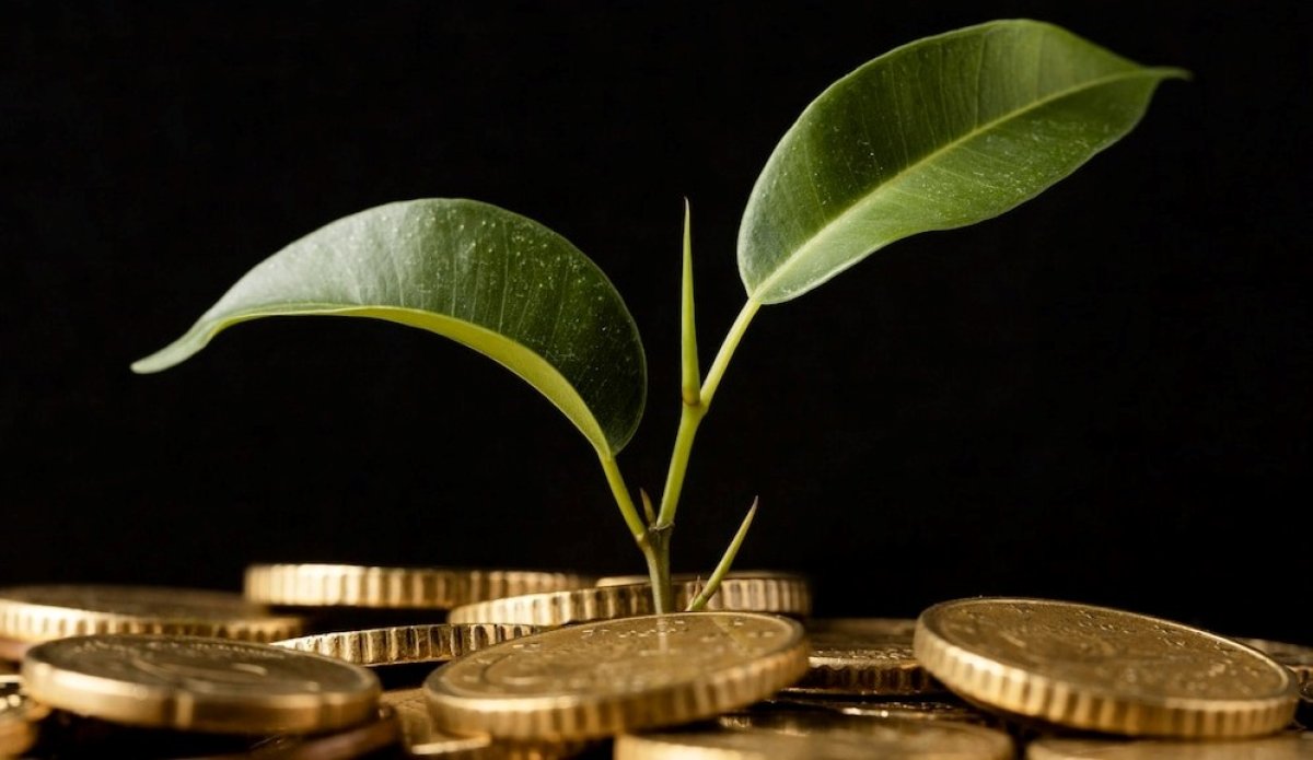 АӨК 13,7% өсімін көрсетті: рекордтық өнім және инвестициялардың өсуі тіркелді