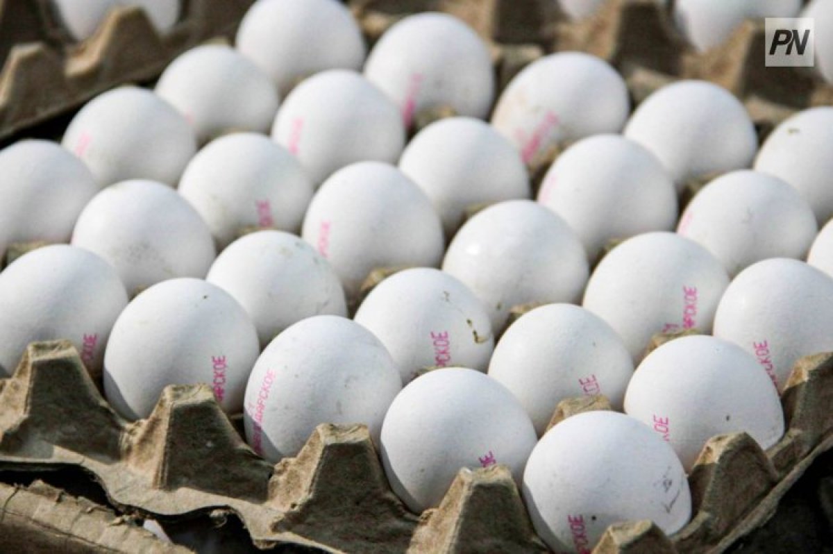 Павлодар облысы жұмыртқаға ең аз қаражат жұмсайтын өңірлердің бірі
