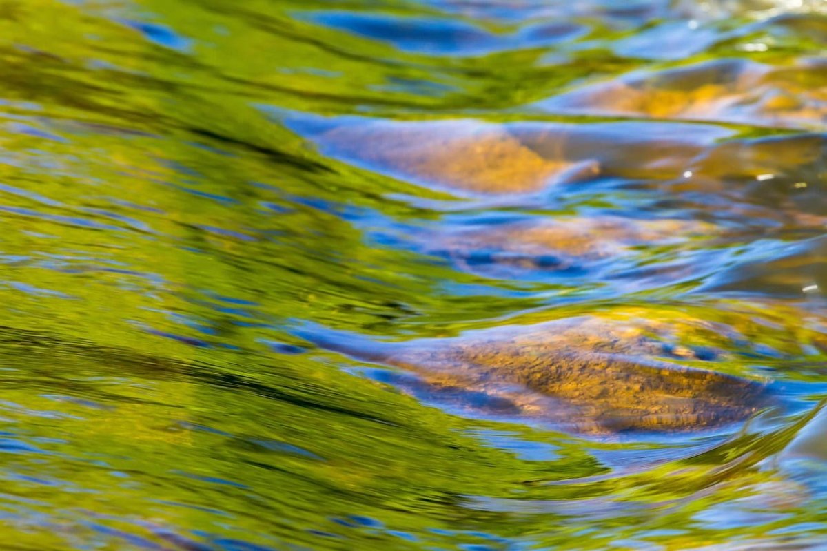 Трагедия в Актюбинской области: в Хромтауском районе утонули пенсионер и его внук