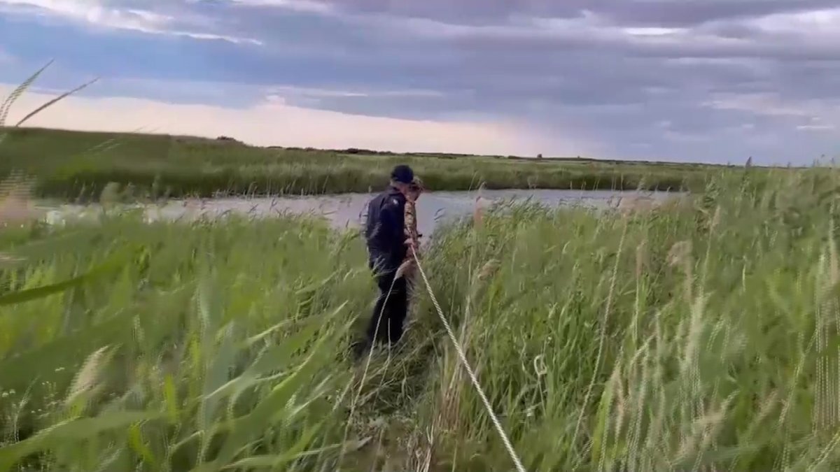 Ақтөбе облысында атасы мен немересі автокөлікпен суға батып кетті