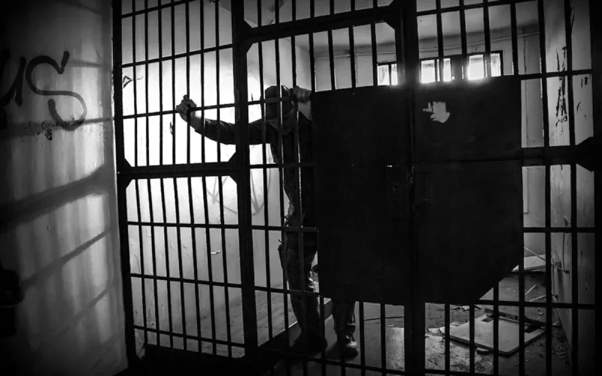 СҚО-да 34 млн теңгенің тұқымын ұрлағандар 5,6 жылға сотталды