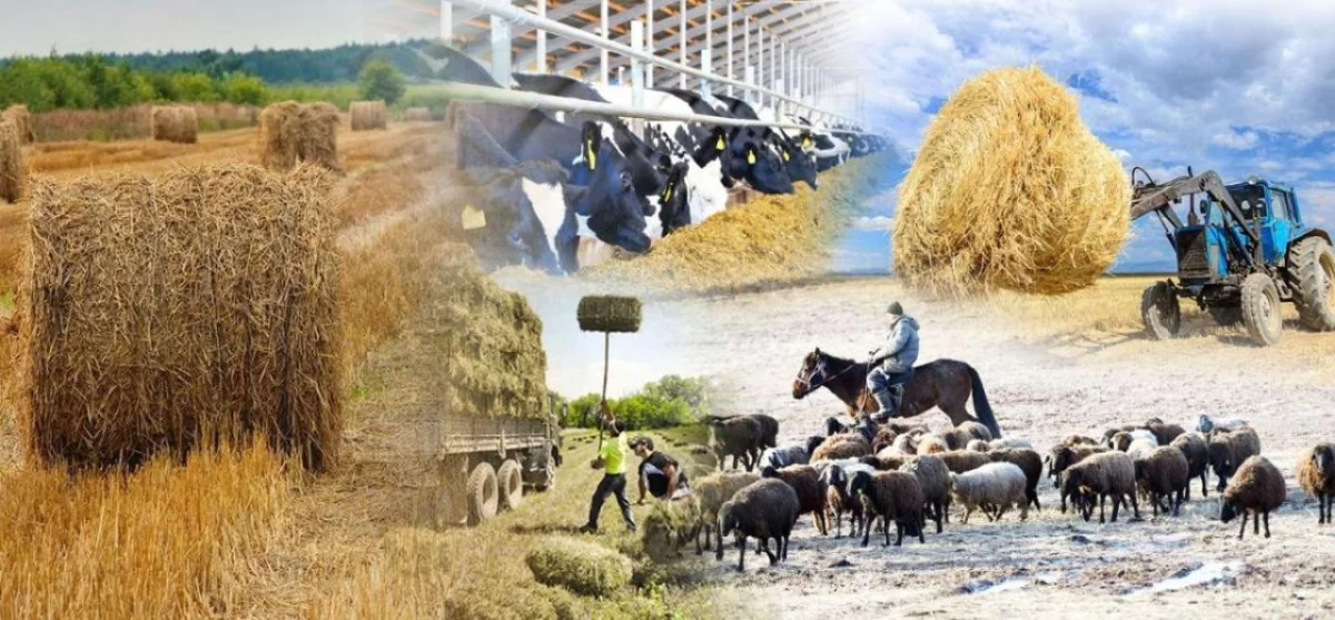 1 августа 2025 года в Казахстане начнётся Национальная сельскохозяйственная перепись
